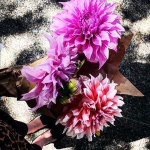 Meet your Posher, Cassidy